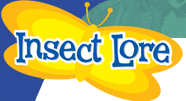 Insect Lore
